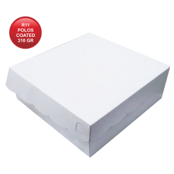 R11 POLOS COATED 310 